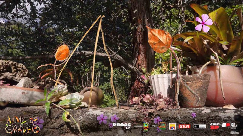 "Fotografia de várias plantas em vasos dispostas em uma área externa, com um fundo de árvores e vegetação densa. No centro, destaca-se uma planta carnívora com uma folha alaranjada. Ao lado, há outros vasos com plantas diversas, incluindo suculentas e uma planta com uma flor roxa. A cena é iluminada pela luz do sol, realçando as cores vibrantes das plantas e dos vasos. No canto inferior esquerdo, há o logotipo 'Alma de Graveto' e vários logotipos de apoiadores no rodapé da imagem."