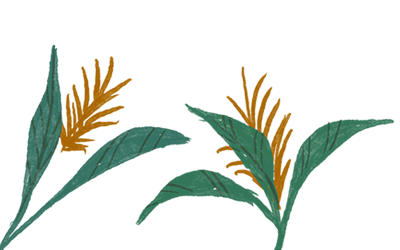 Ilustração de duas plantas com folhas verdes e flores alaranjadas em formato alongado. As folhas são grandes e detalhadas, e o fundo é verde-azulado.